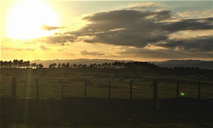 23828944_10154866335692821_2146873136_o